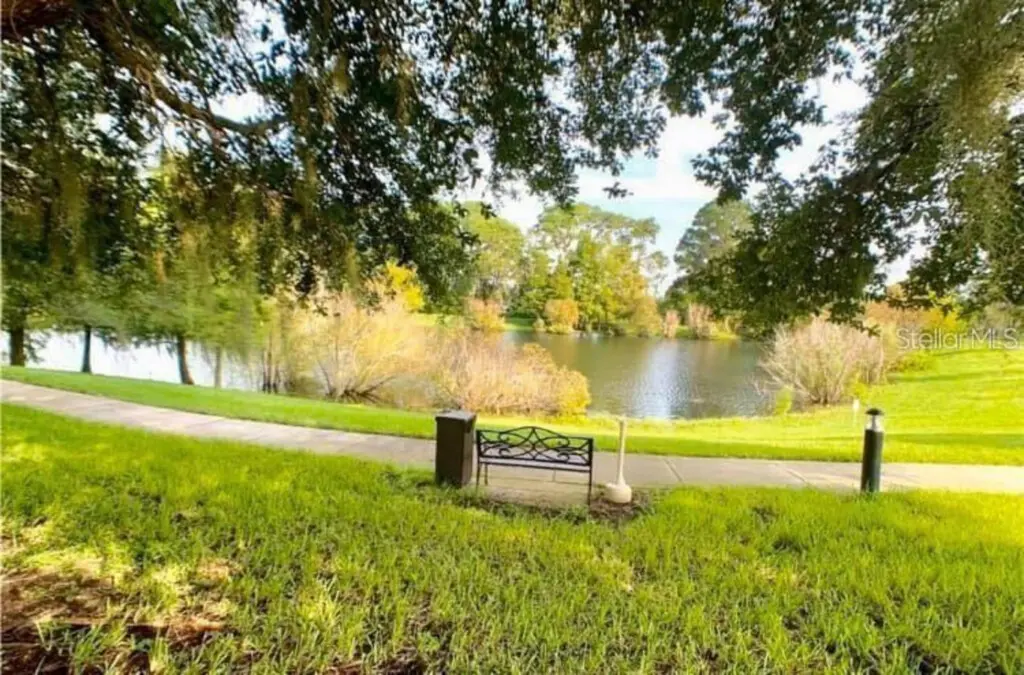 Amazing Lake View