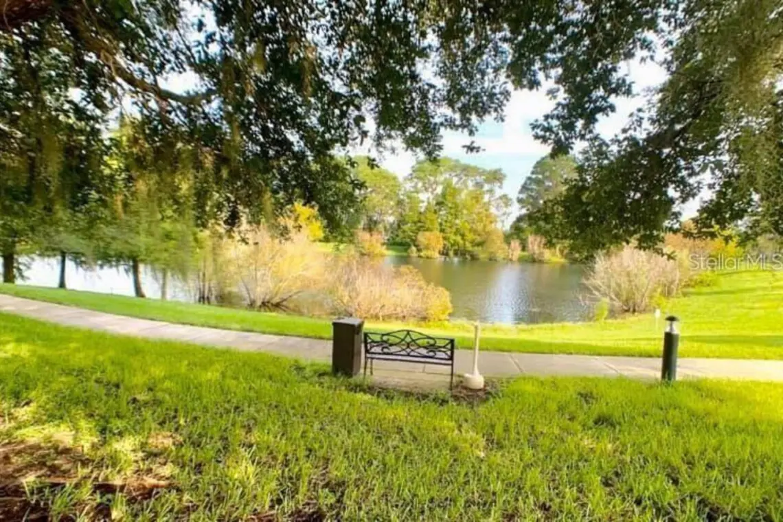 Amazing Lake View