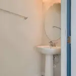 Bright guest powder room with sink