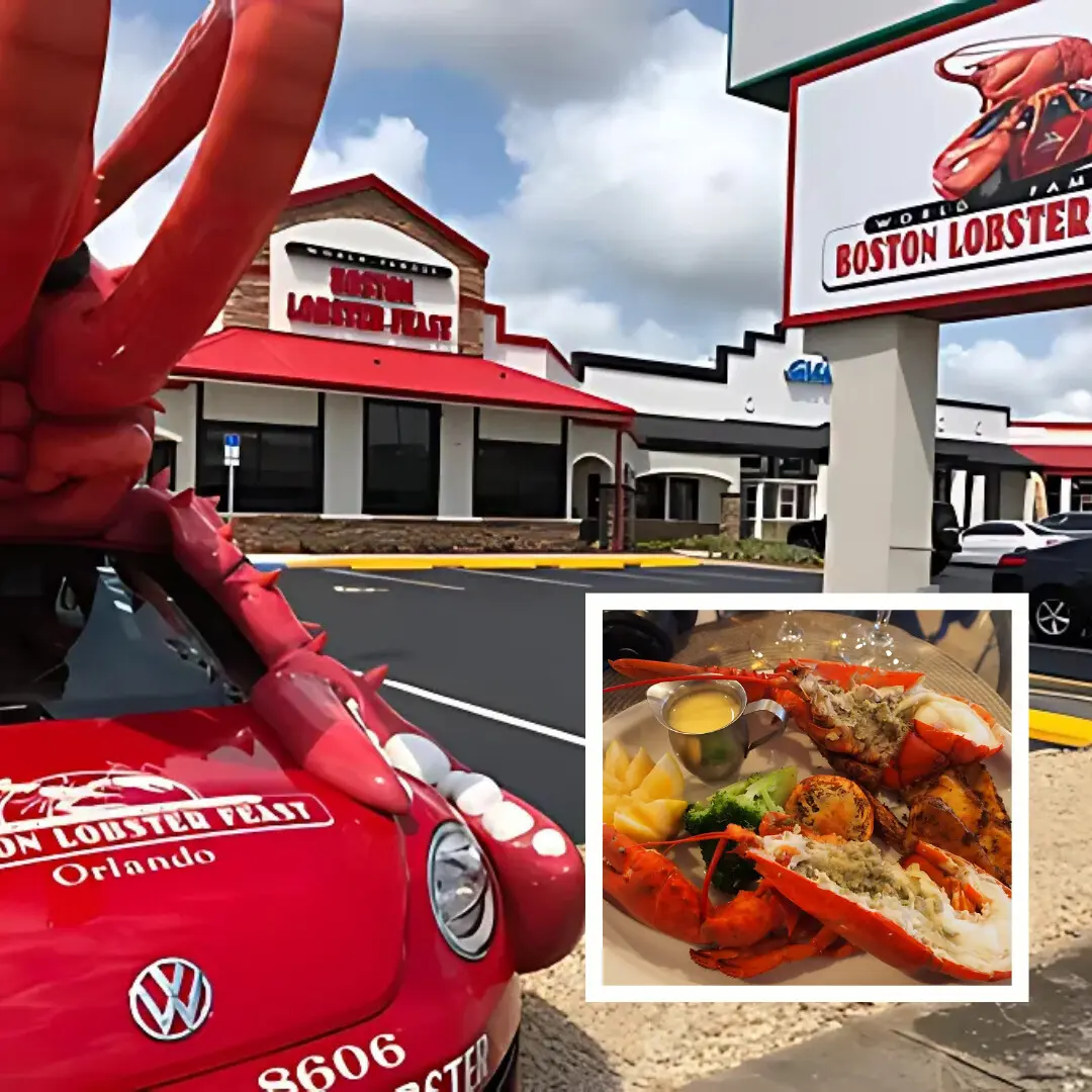 Boston Lobster Feast