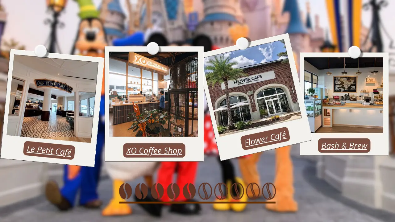 Le Petit Café, XO Coffee Shop, Flower Café, and Bash & Brew