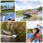 Airboat Tour