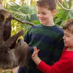 Two children smiling while feeding a sloth a piece of corn.