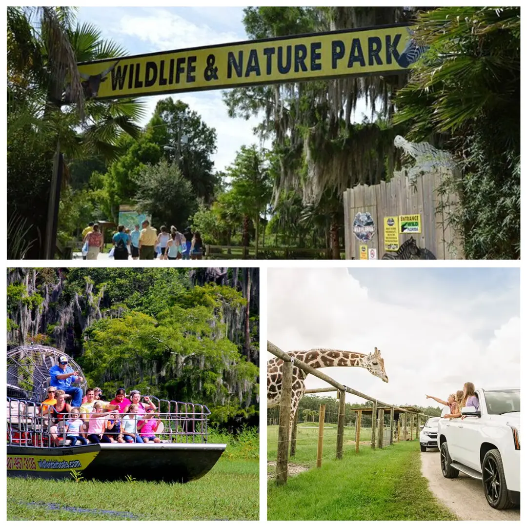 Wild Florida Adventure Park