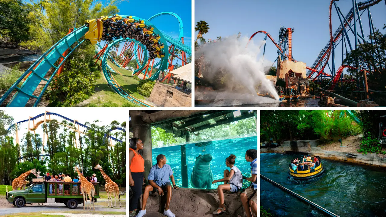 Busch Gardens Tampa Bay