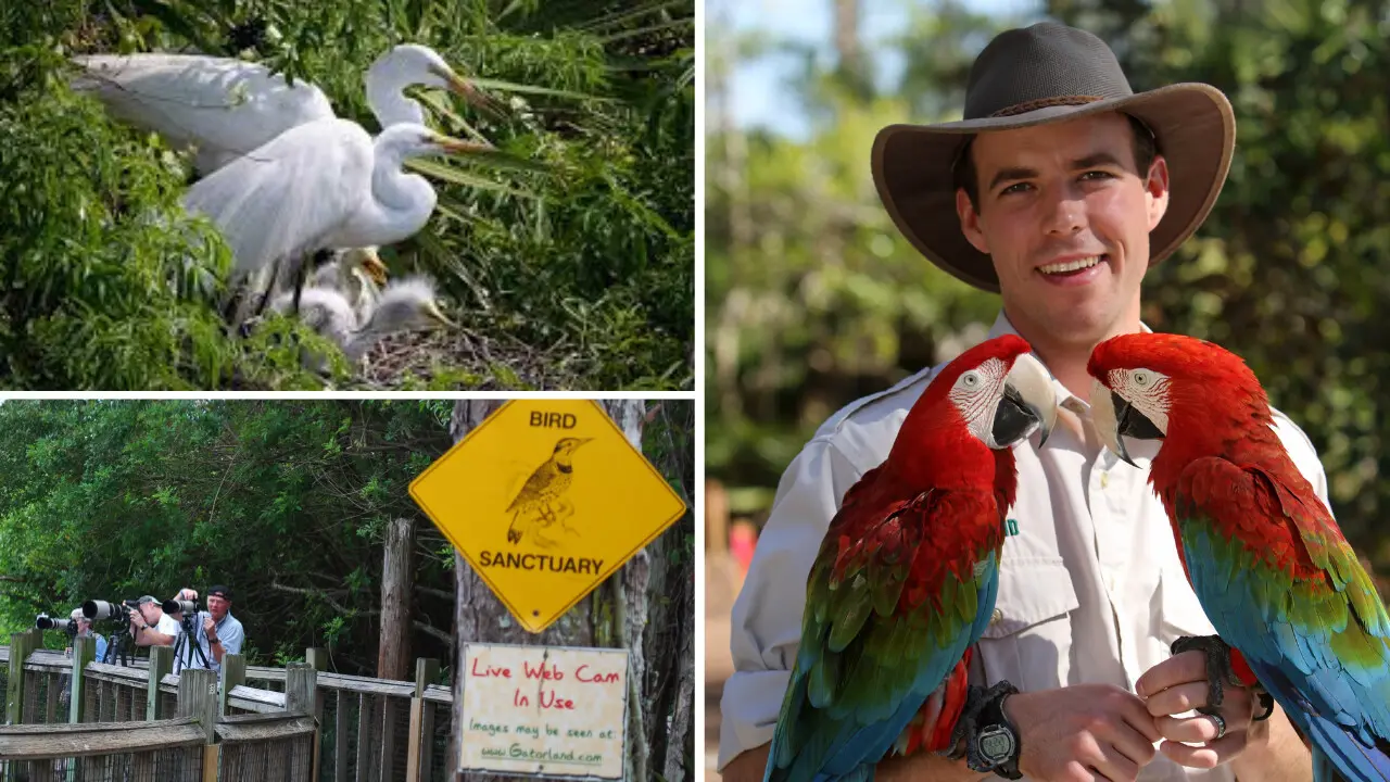 Flock to Birdwatching Spots