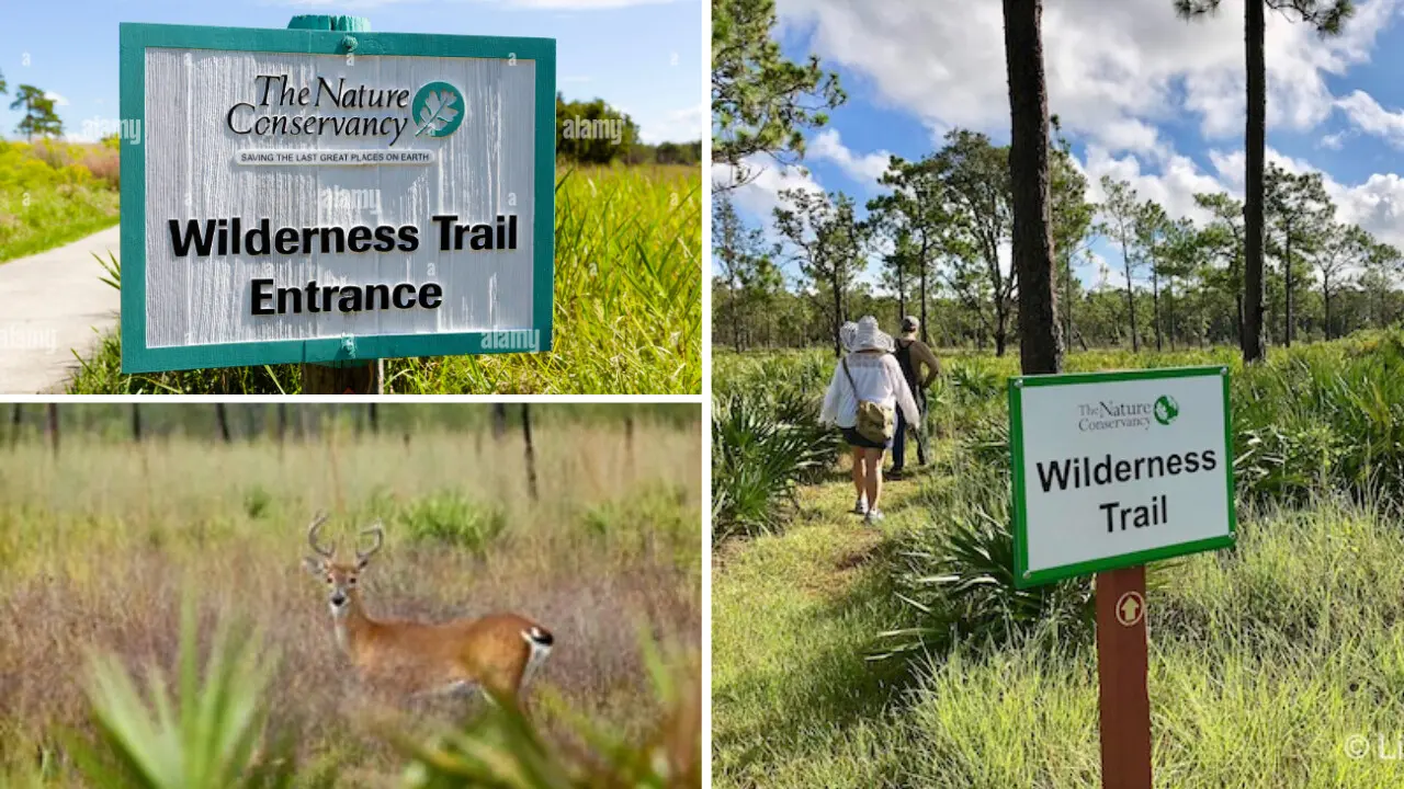 Hike Through a Nature Preserve