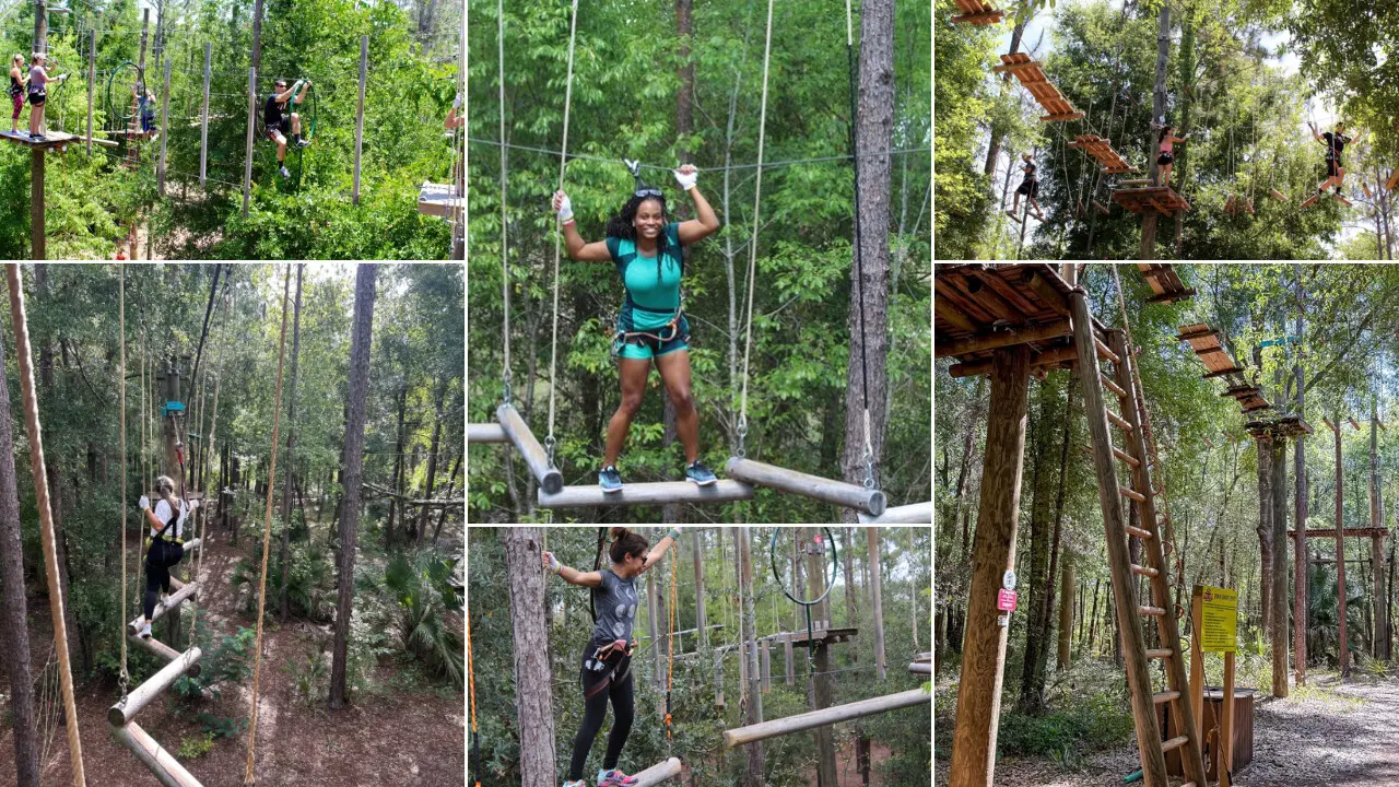 Orlando Tree Trek Adventure Park
