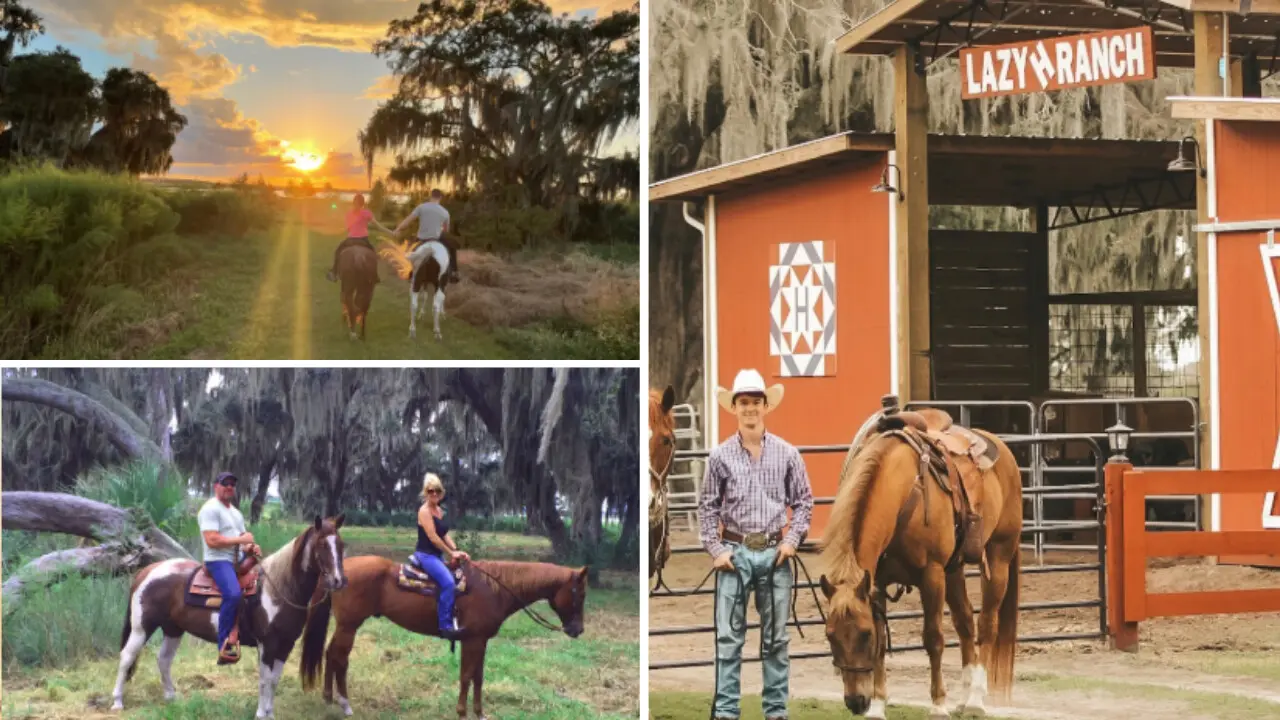 Saddle Up for a Horseback Ride