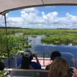 Guests photographing alligator during Florida airboat tour