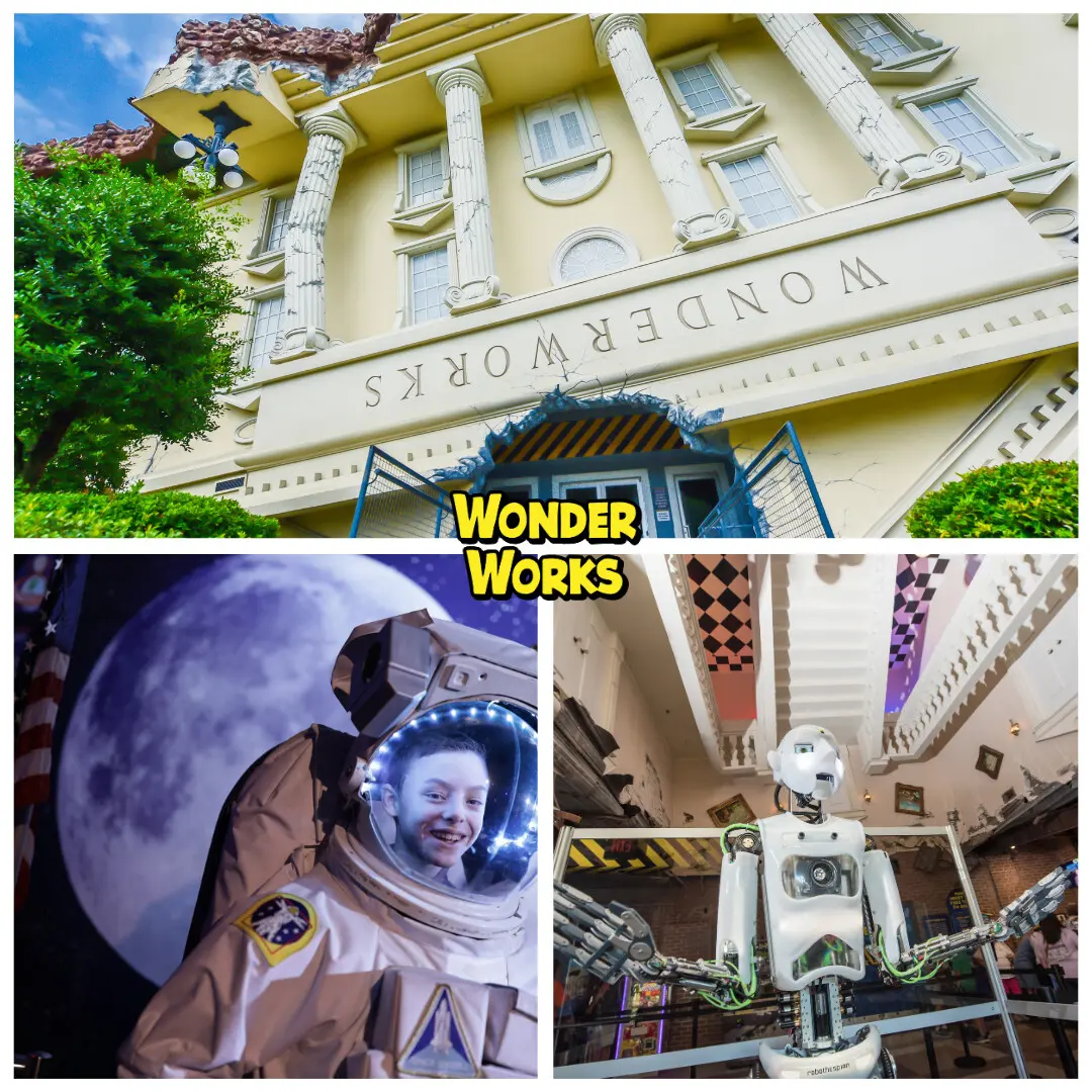 Wonder Works
