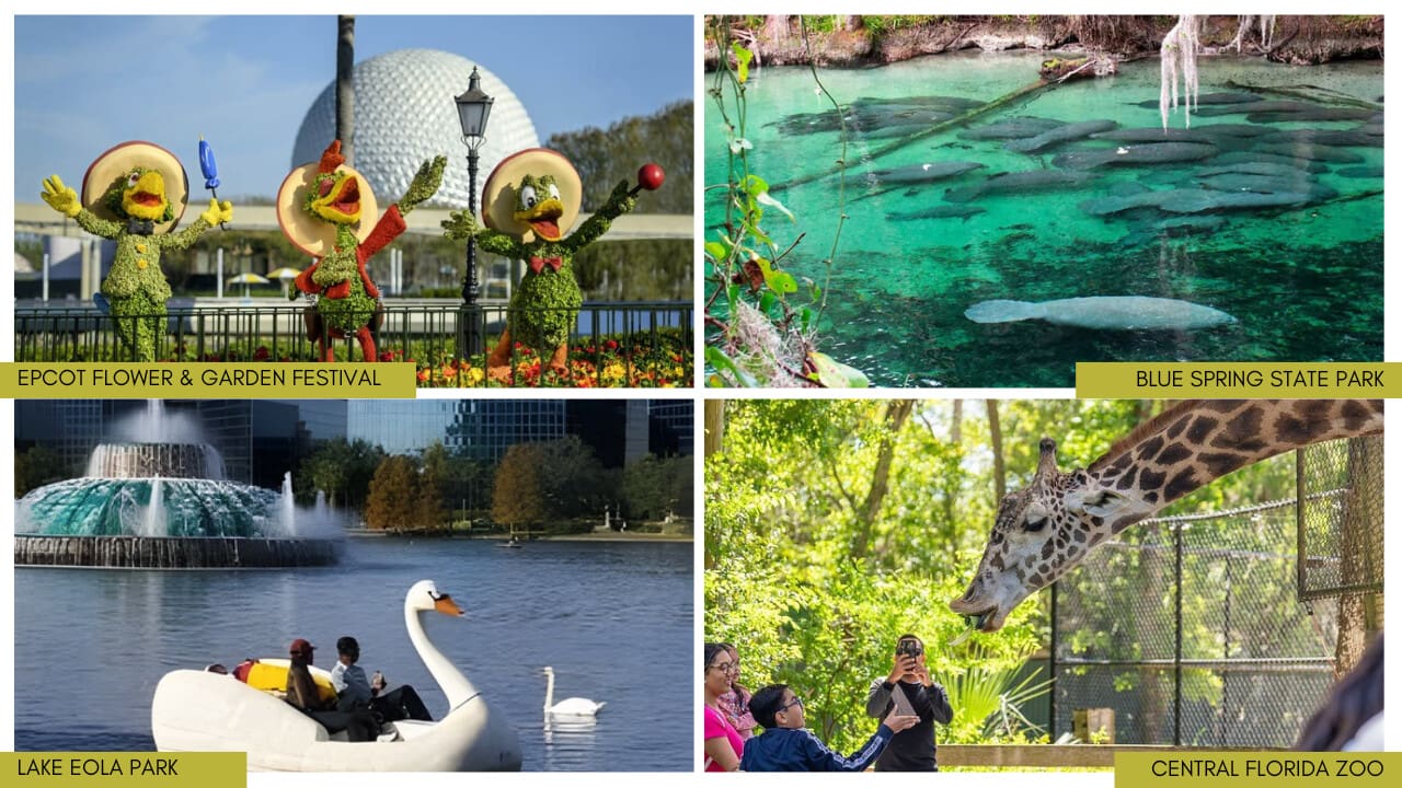 Outdoor Attractions in Orlando for Spring