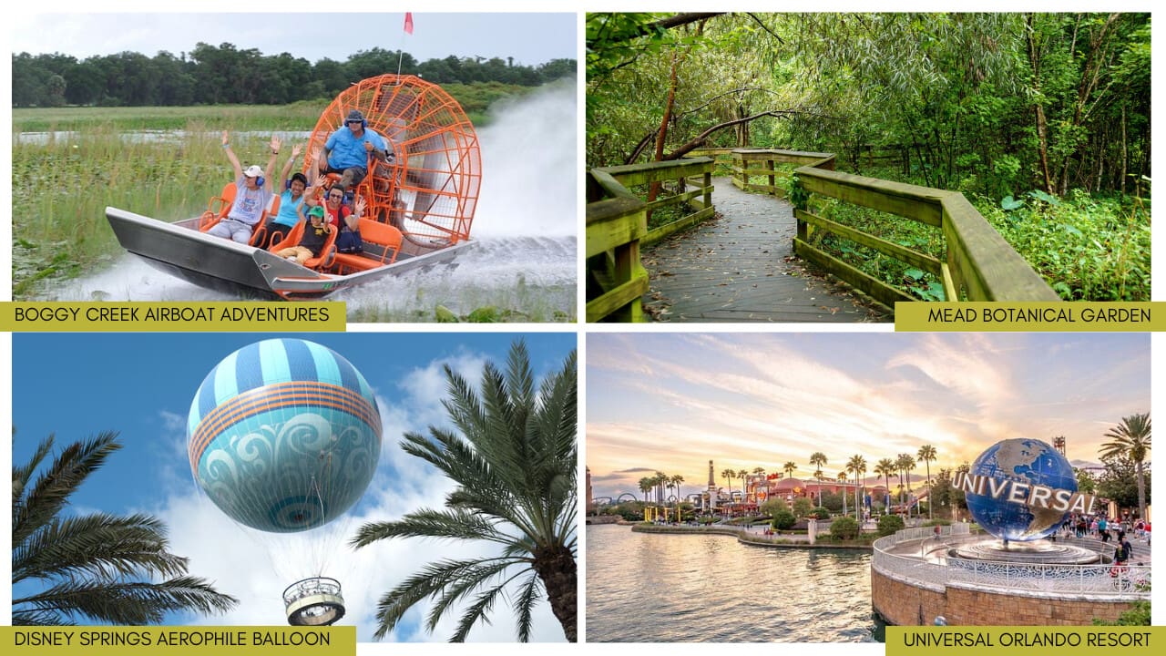 Outdoor Attractions in Orlando for Spring