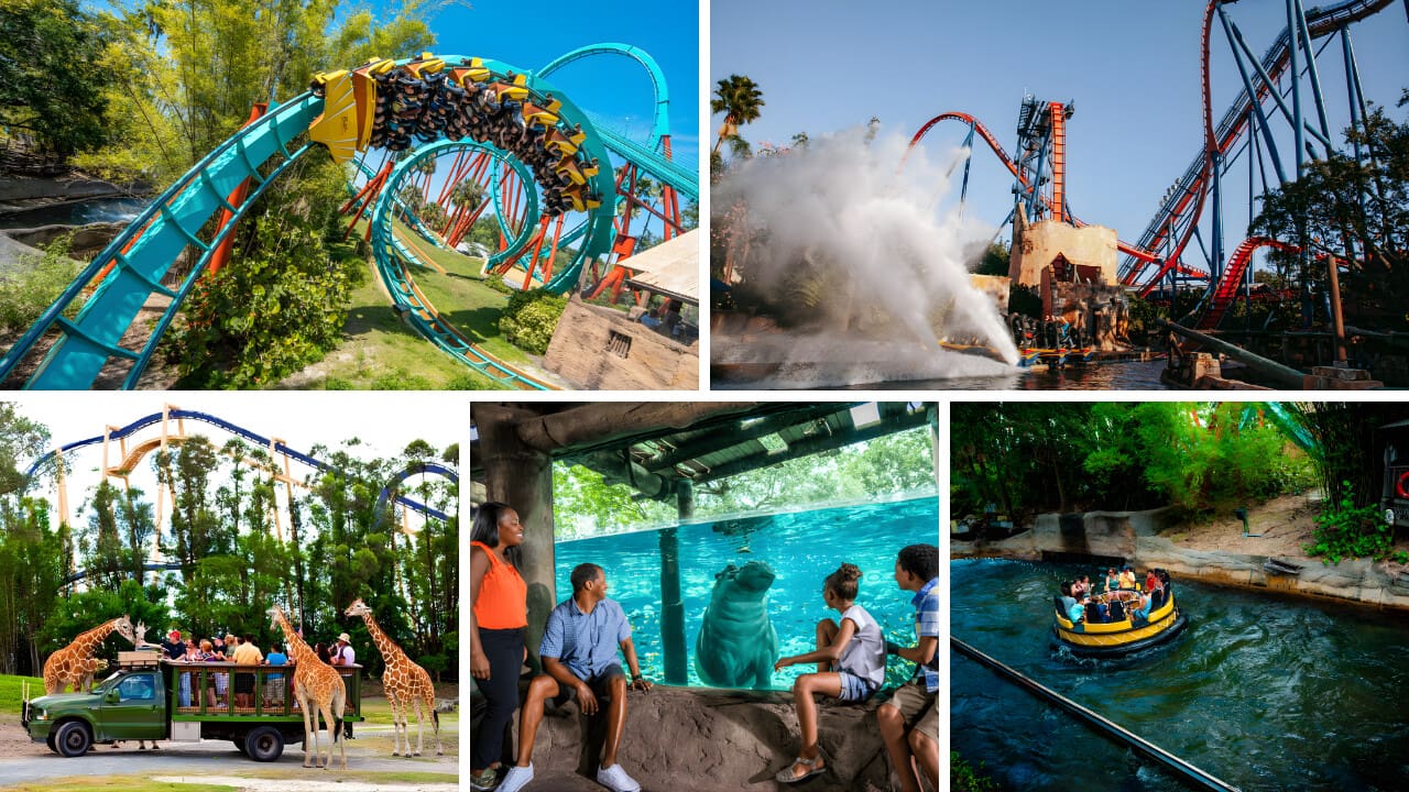 Busch Gardens Tampa Bay