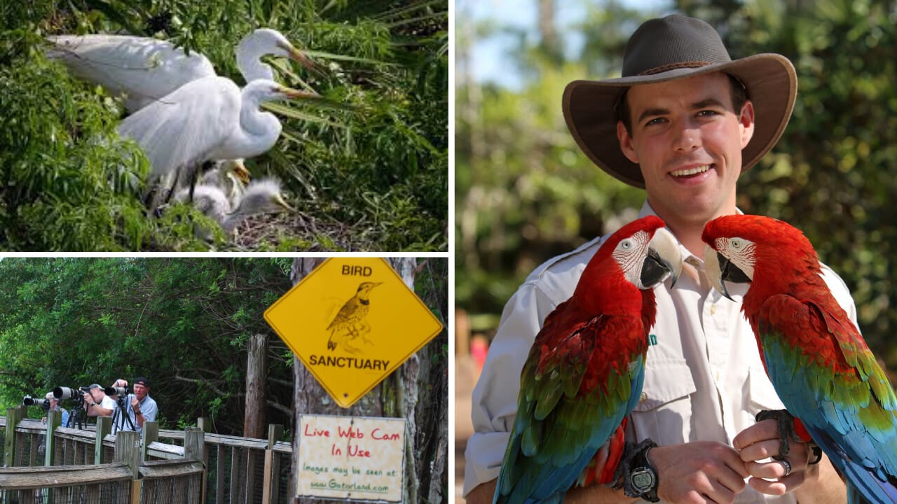 Flock to Birdwatching Spots