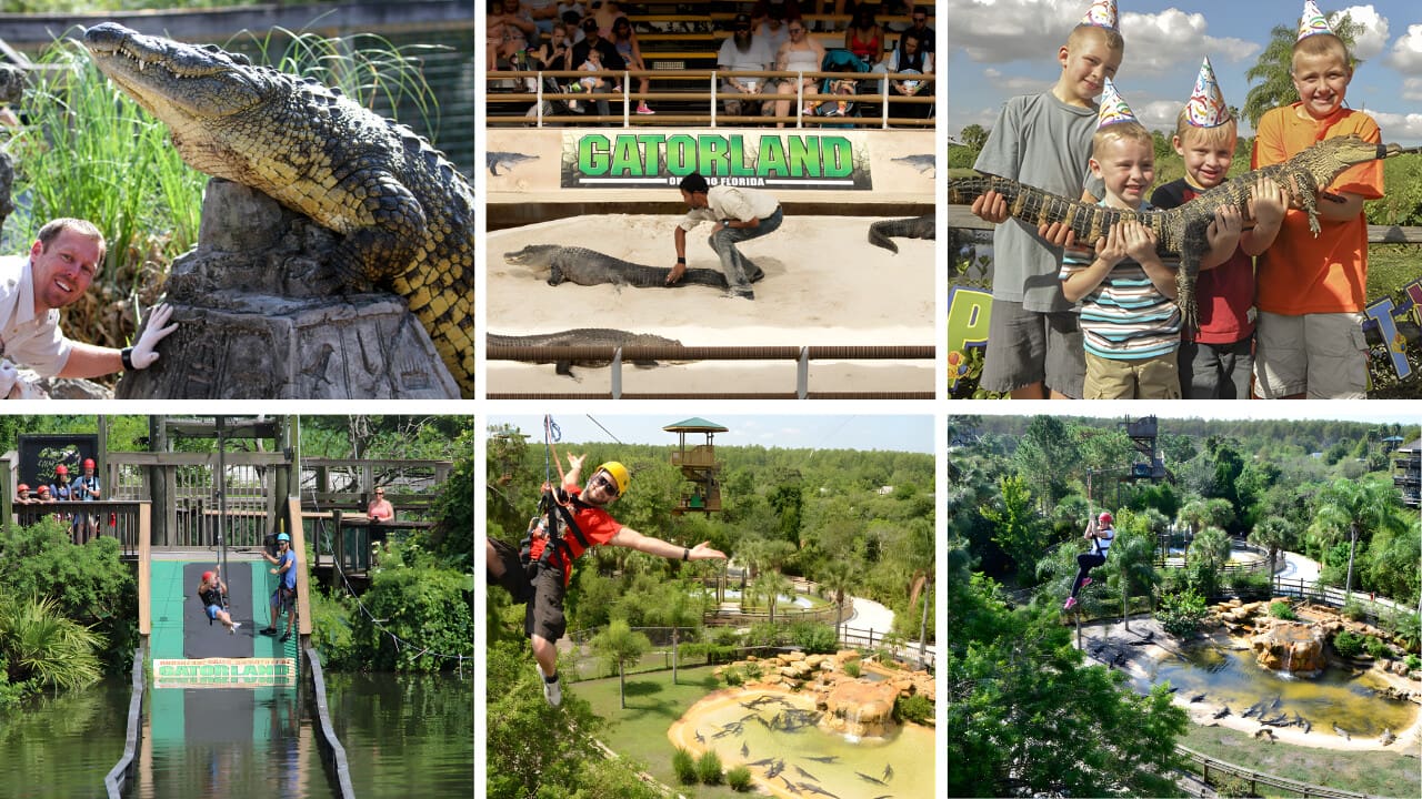 Gatorland