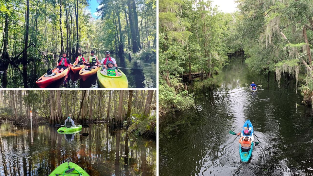 Kayak Through Shingle Creek