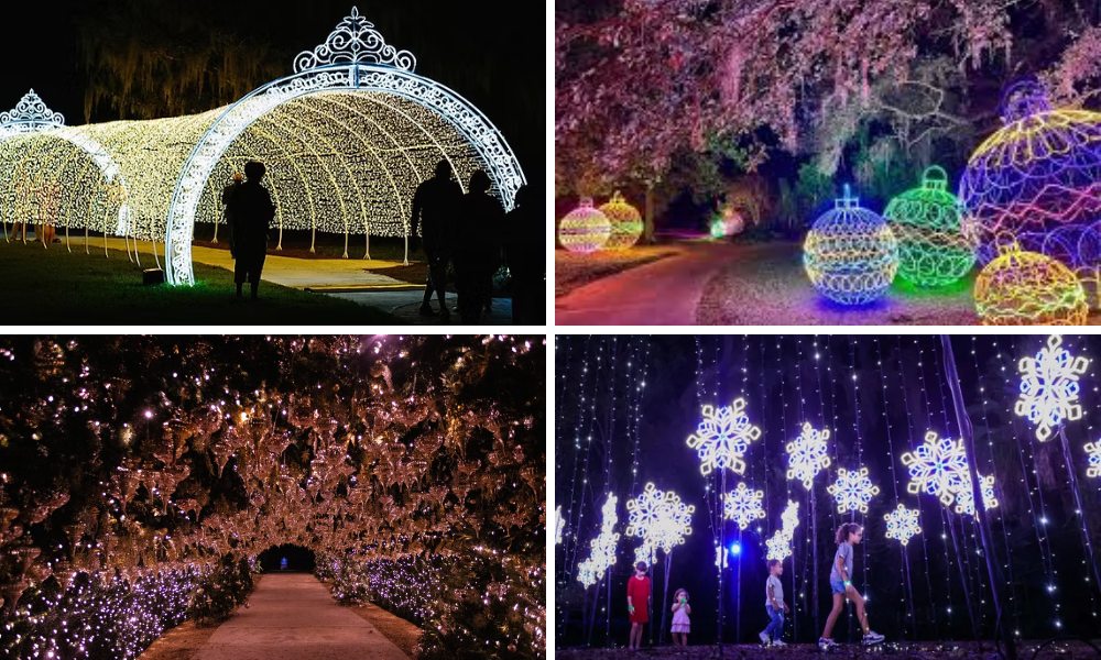 Dazzling Lights at Harry P. Leu Gardens