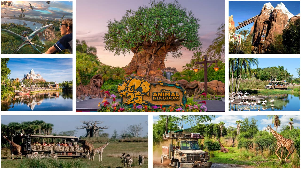 Disney's Animal Kingdom