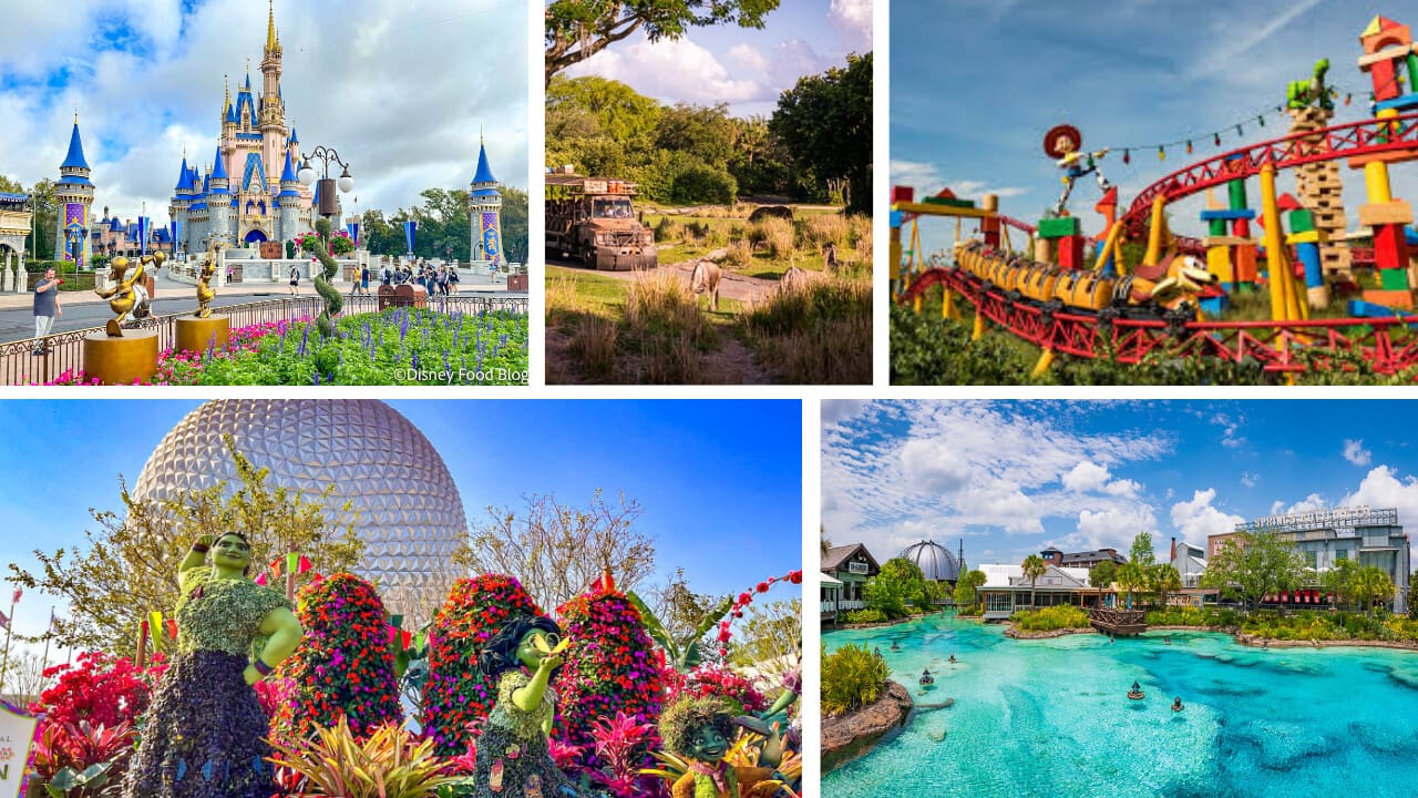 Individual Disney Parks from Reunion Resort