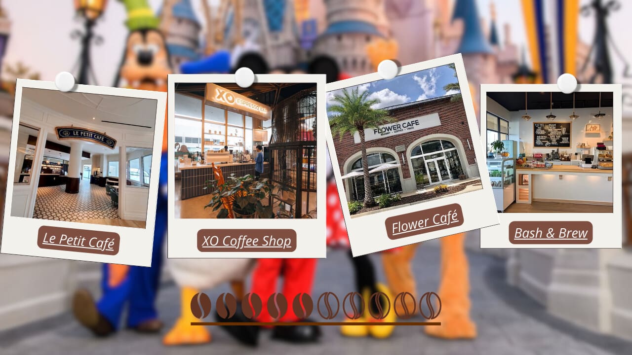 Le Petit Café, XO Coffee Shop, Flower Café, and Bash & Brew 