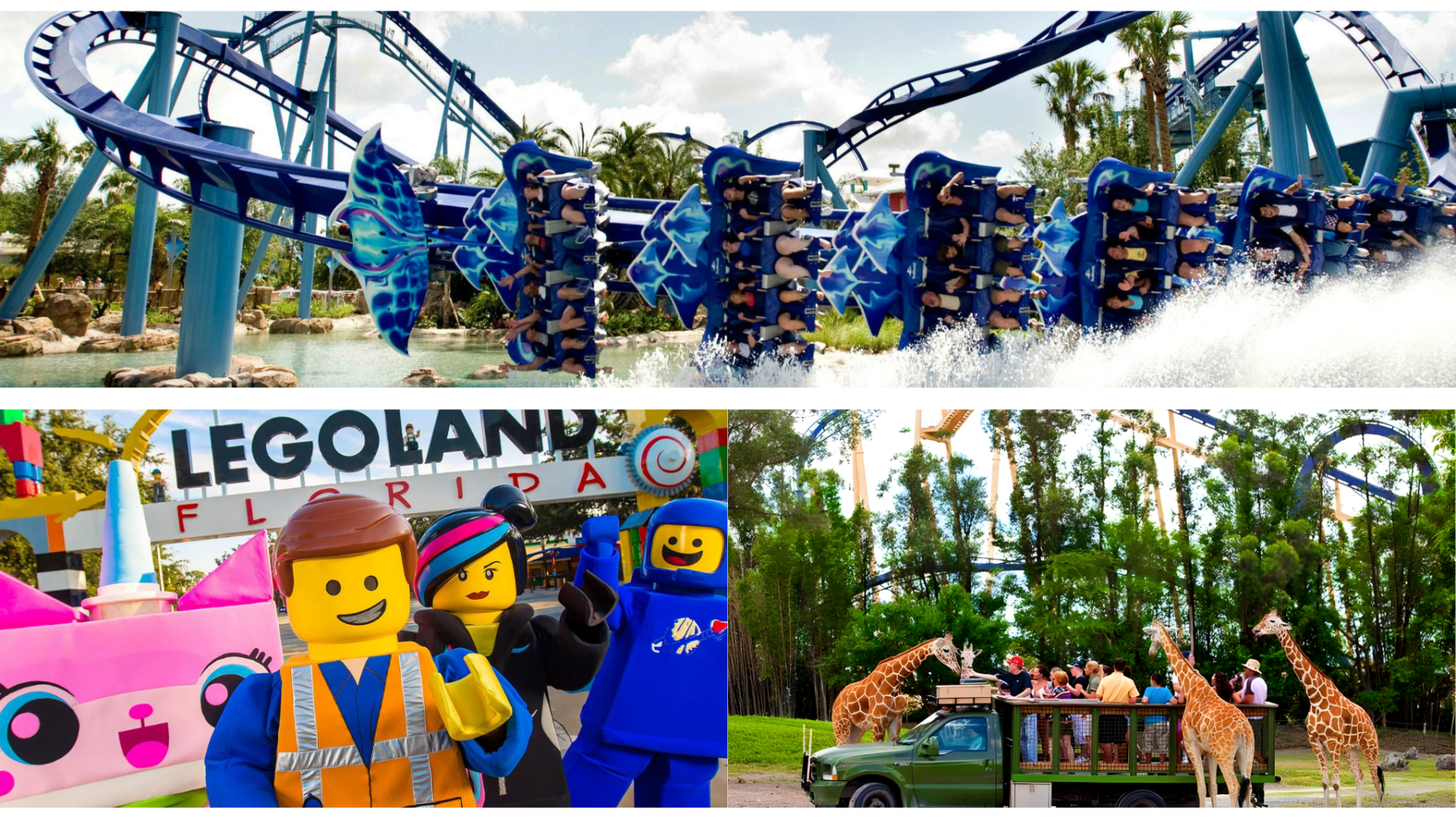 SeaWorld Orlando & Nearby Parks