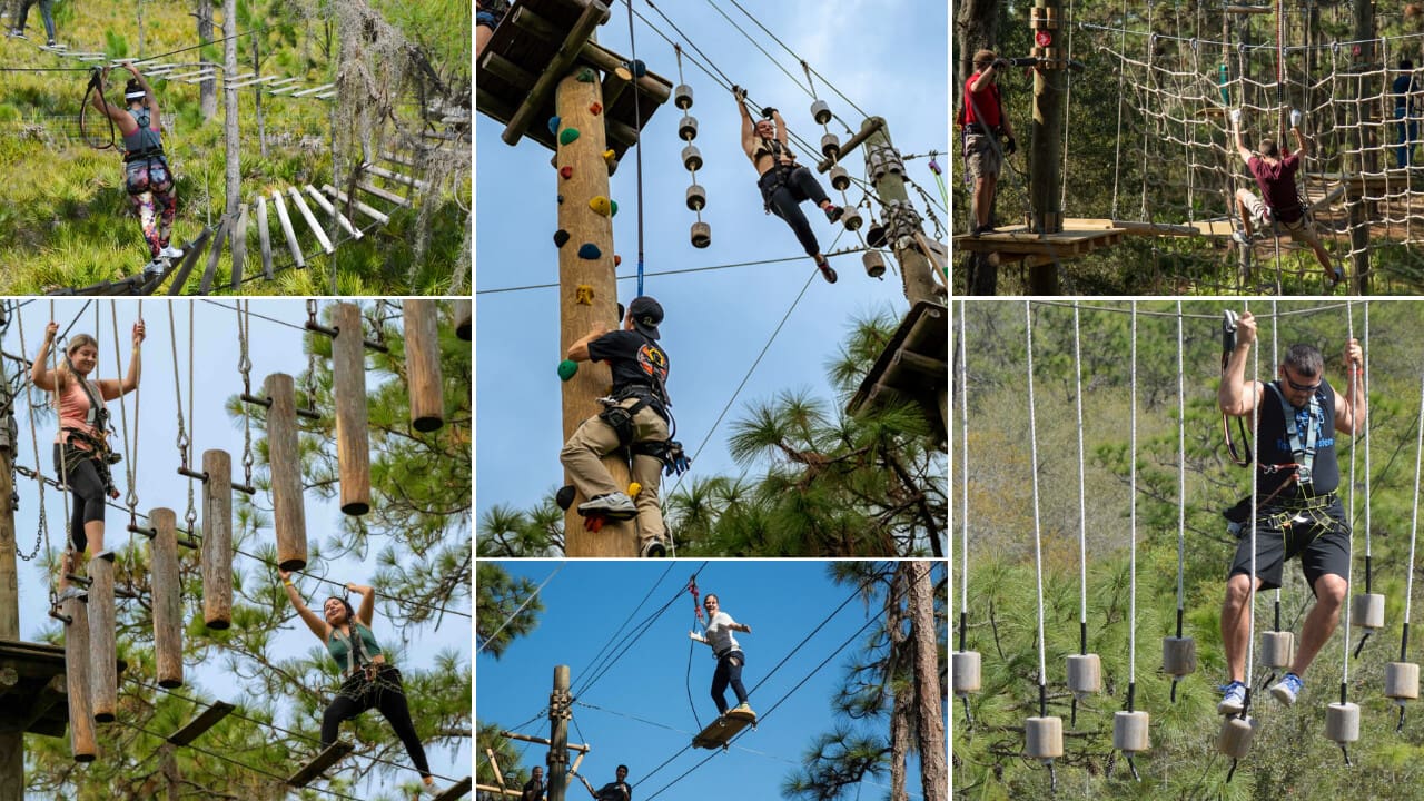 TreeUmph! Adventure Course