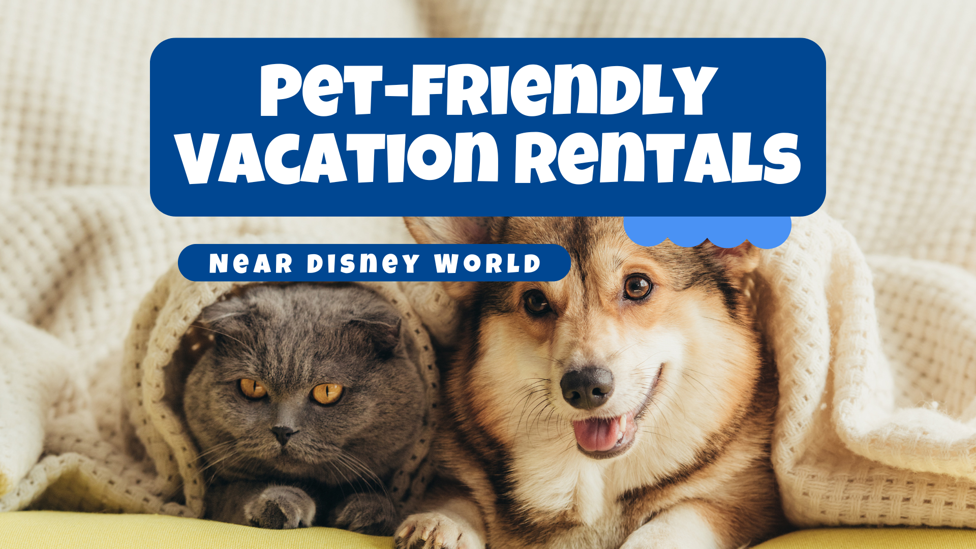 Pet-Friendly Vacation Rentals Near Disney